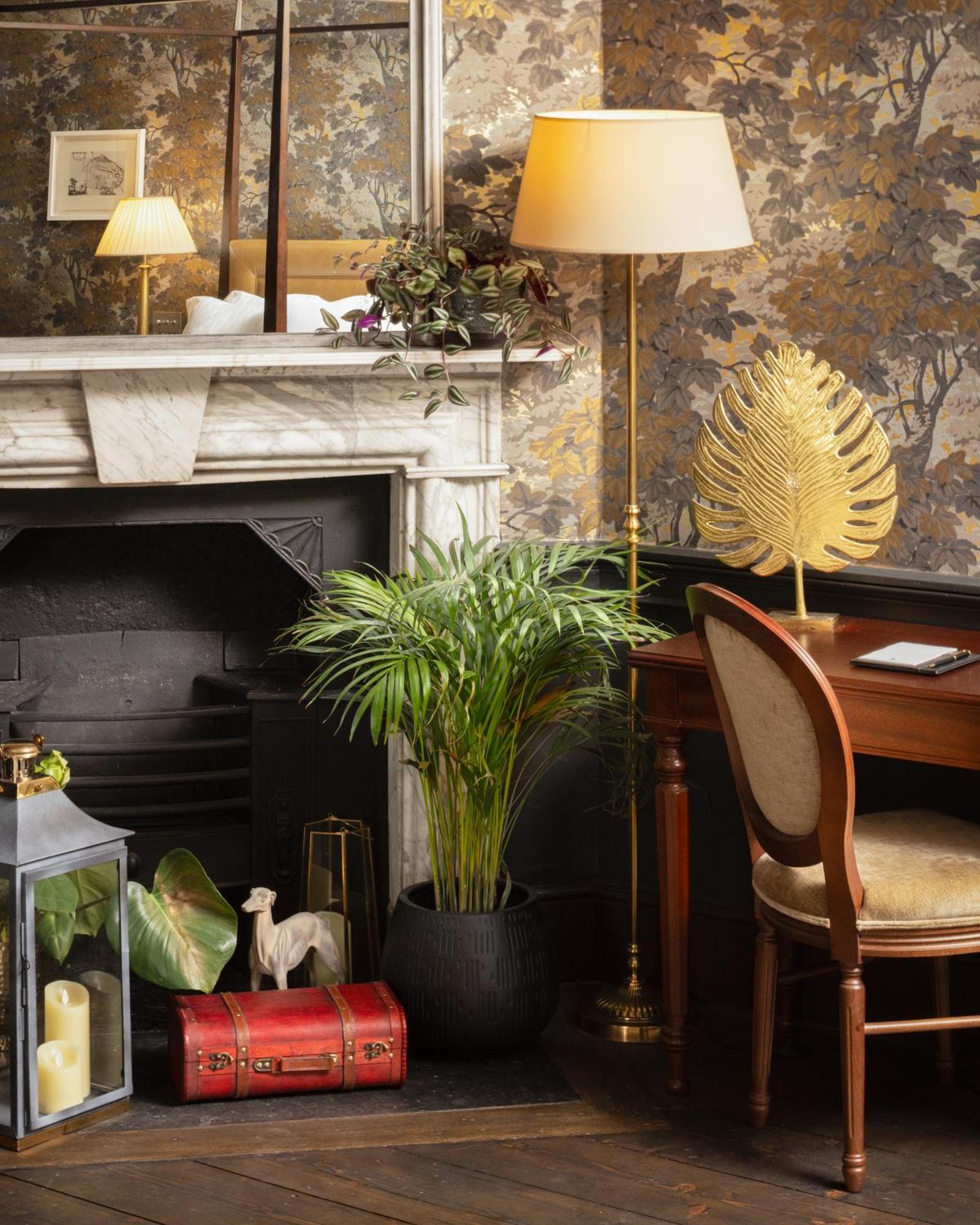 โรงแรมคาร์ลตันเฮาส์ เมย์นูท ภายนอก รูปภาพ A houseplant
